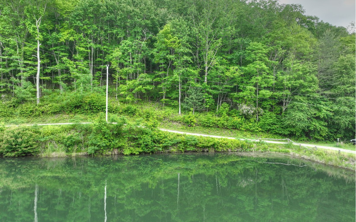 LOT 4 Ducks Nest Road