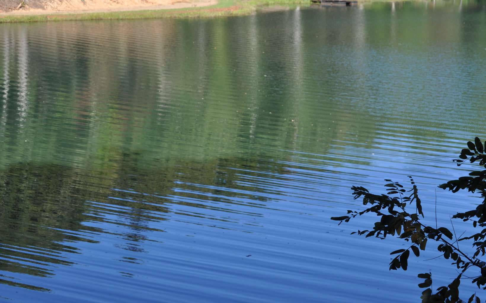 LOT 4 Ducks Nest Road