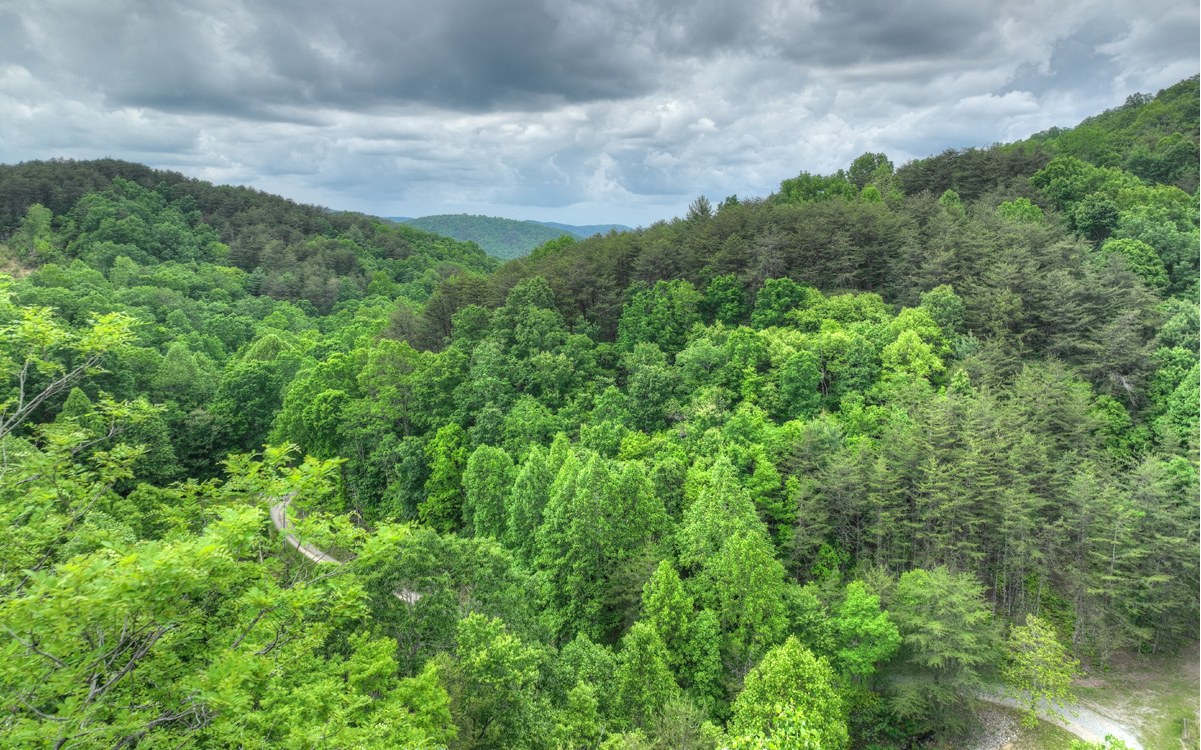 LOT 4 Ducks Nest Road