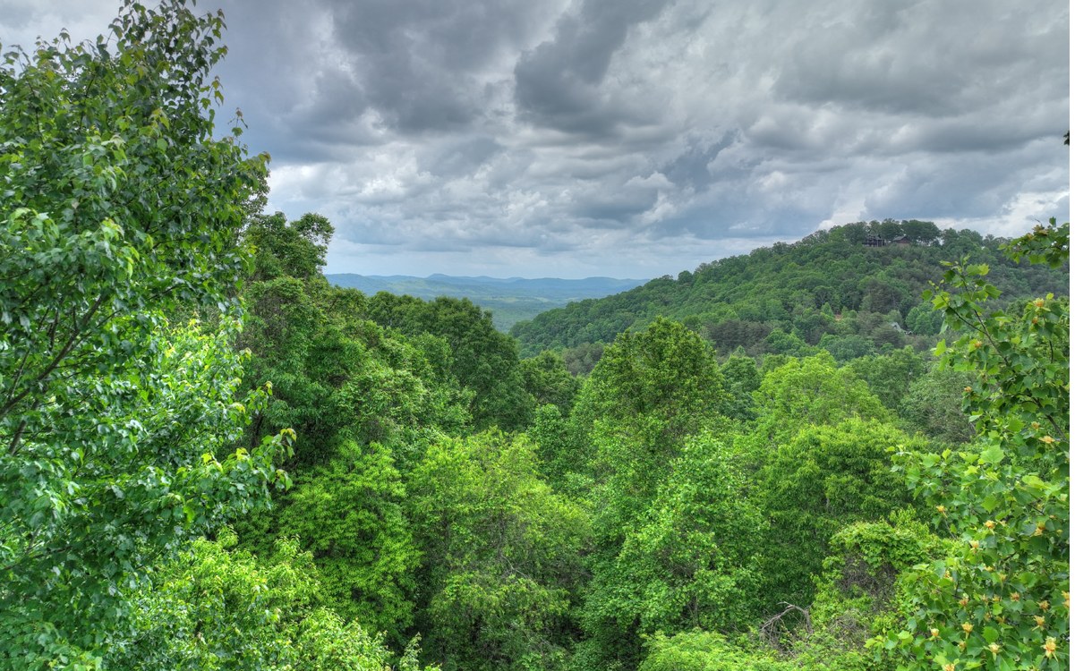 LOT 4 Ducks Nest Road