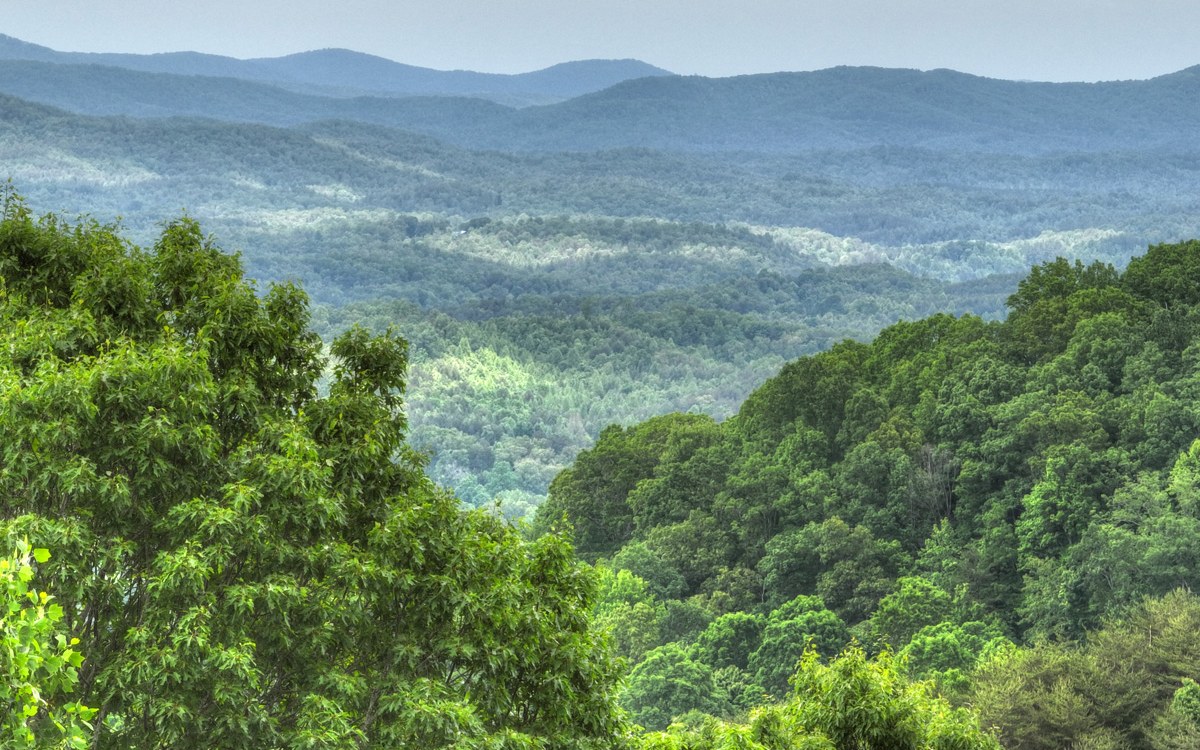 LOT 4 Ducks Nest Road