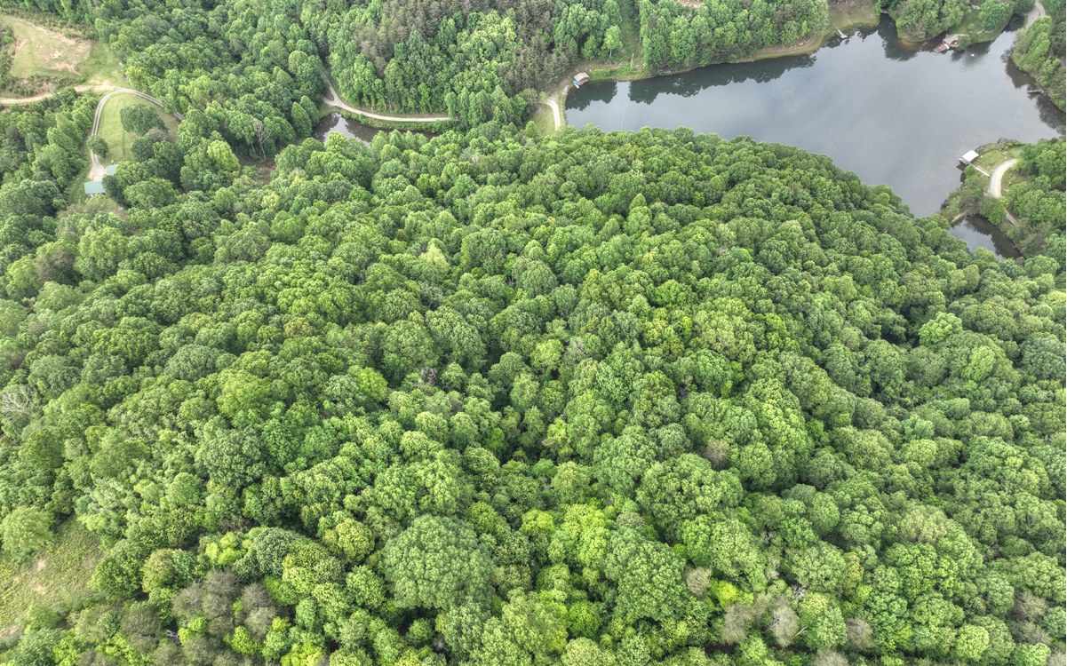 LOT 4 Ducks Nest Road