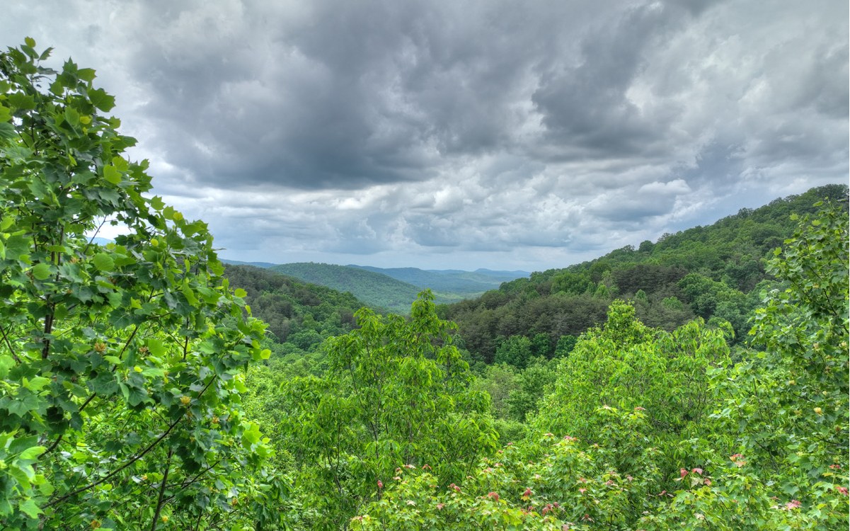 LOT 4 Ducks Nest Road