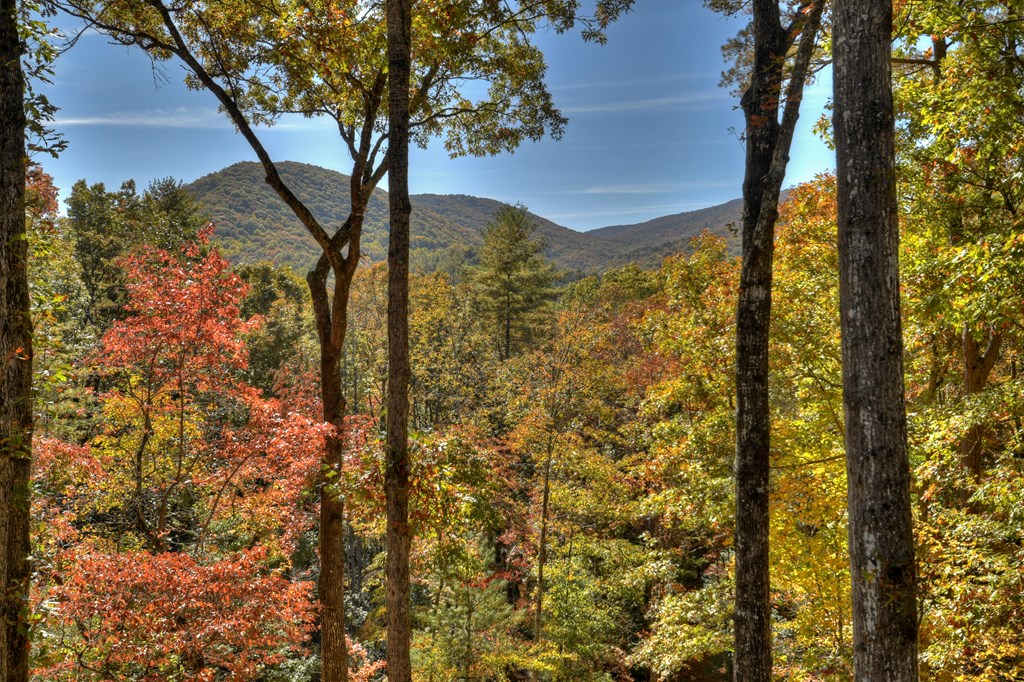 211 Little Creek Trail