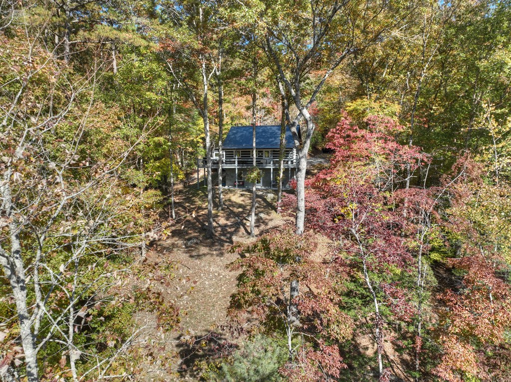 211 Little Creek Trail