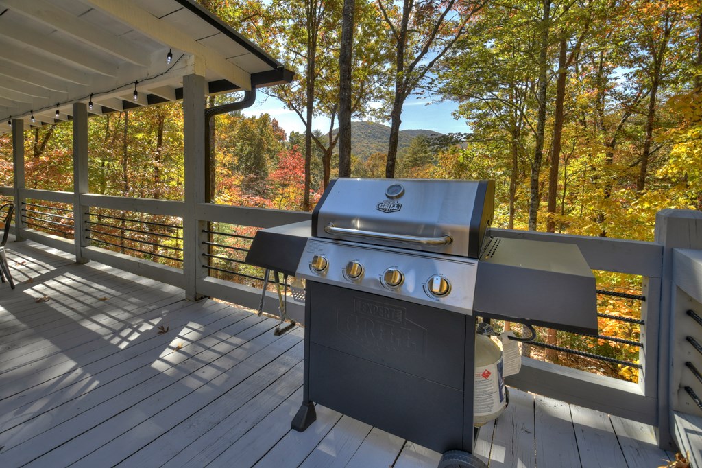 211 Little Creek Trail