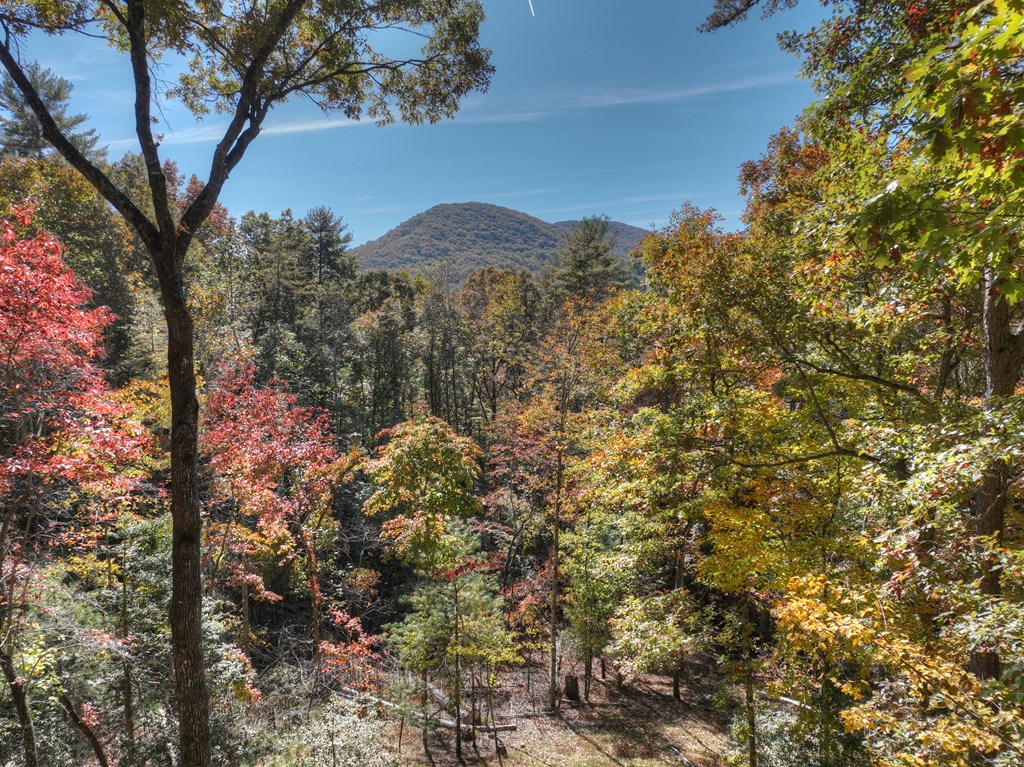 211 Little Creek Trail