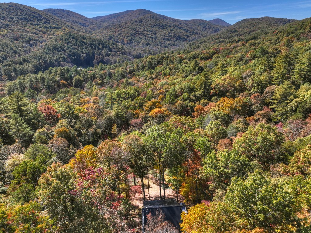 211 Little Creek Trail