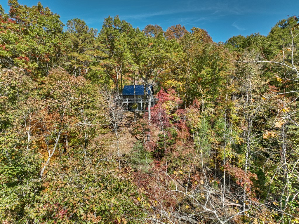 211 Little Creek Trail