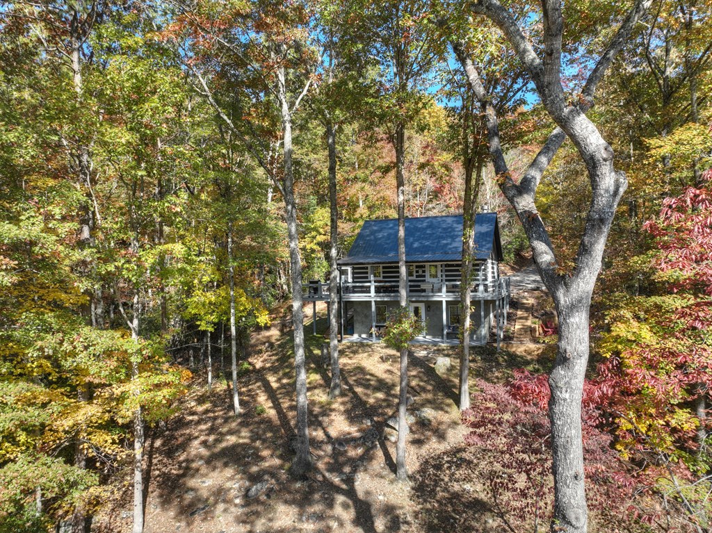 211 Little Creek Trail
