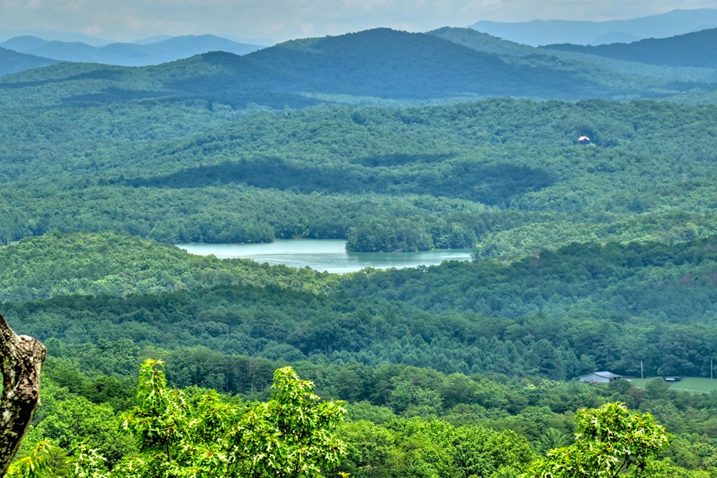 250 Deer Crest Overlook