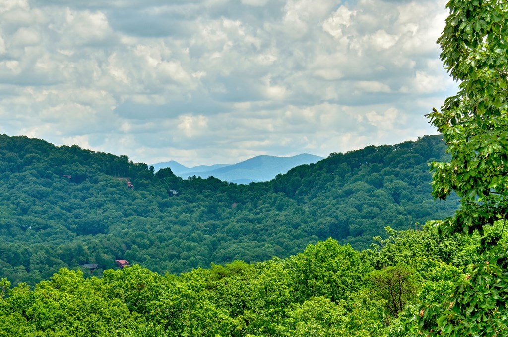250 Deer Crest Overlook