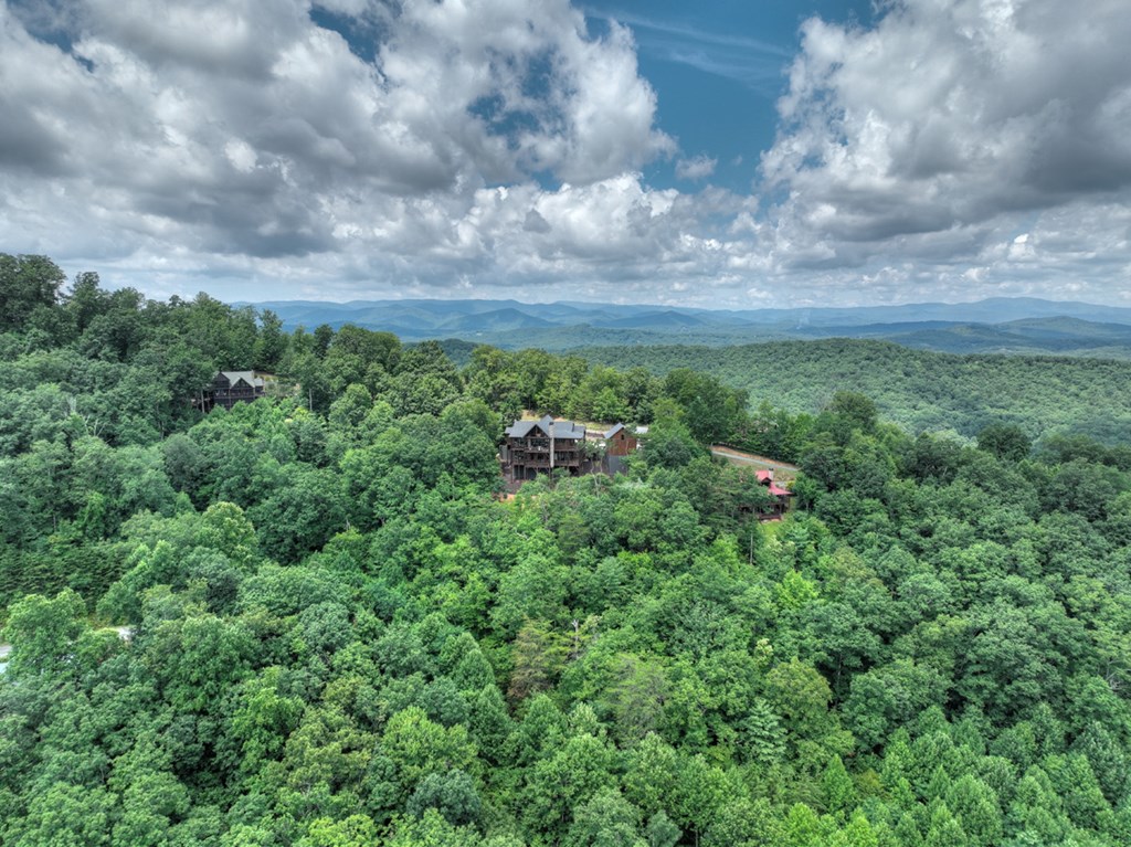 250 Deer Crest Overlook