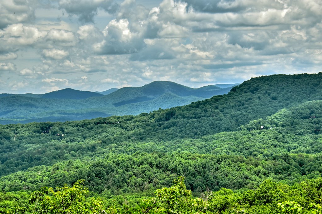 250 Deer Crest Overlook