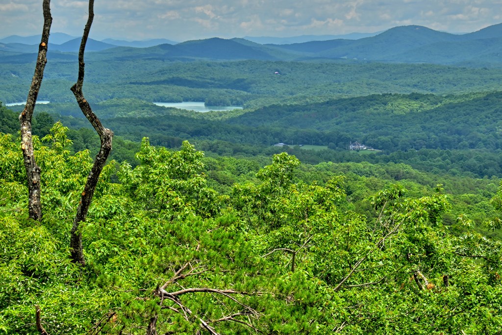 250 Deer Crest Overlook