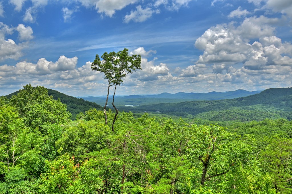 250 Deer Crest Overlook