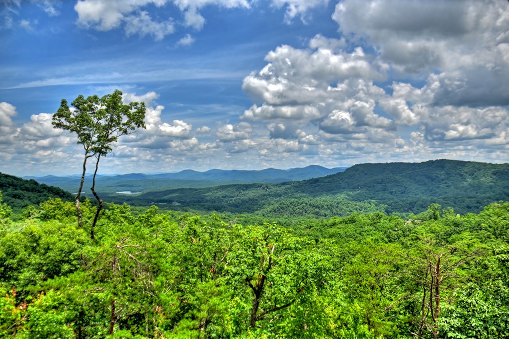 250 Deer Crest Overlook