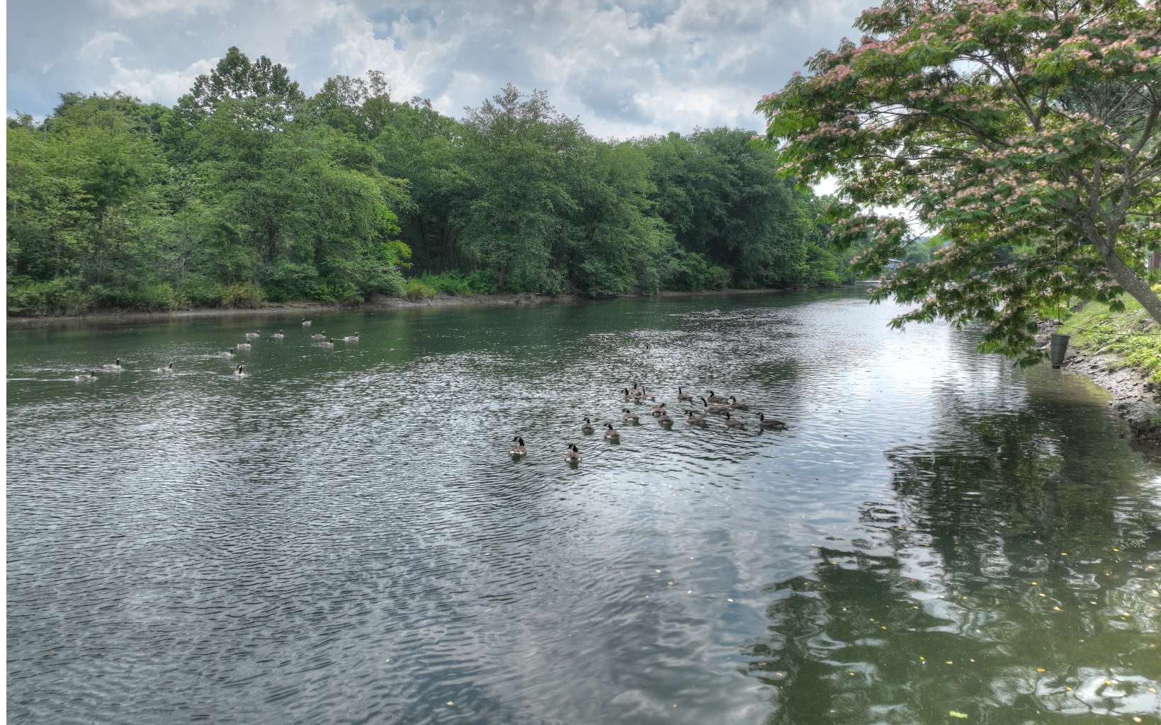 270 W Tennessee Avenue