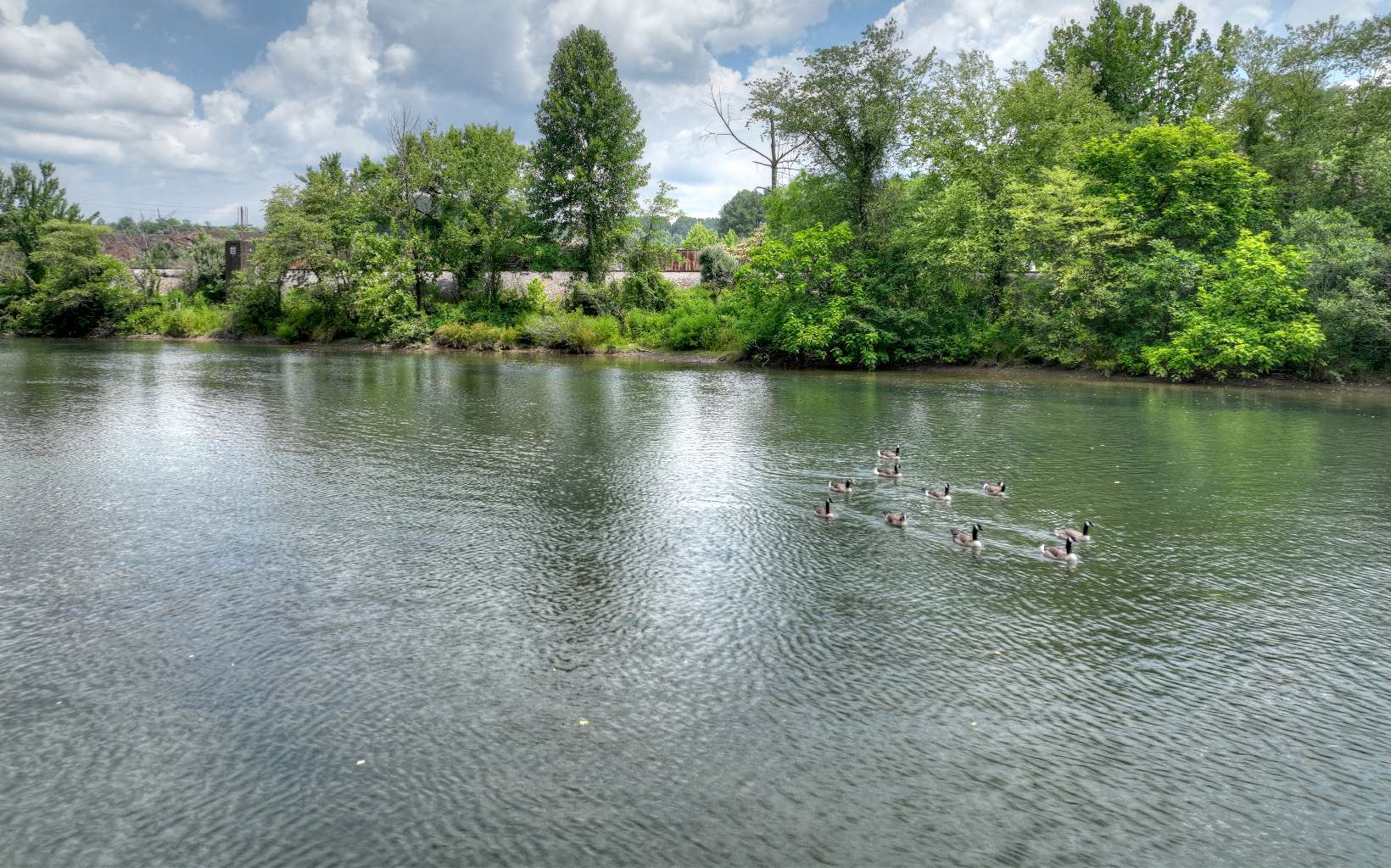 270 W Tennessee Avenue