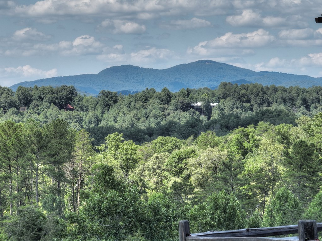 151 Lonesome Dove Path