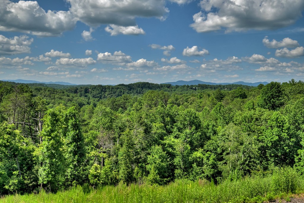 151 Lonesome Dove Path