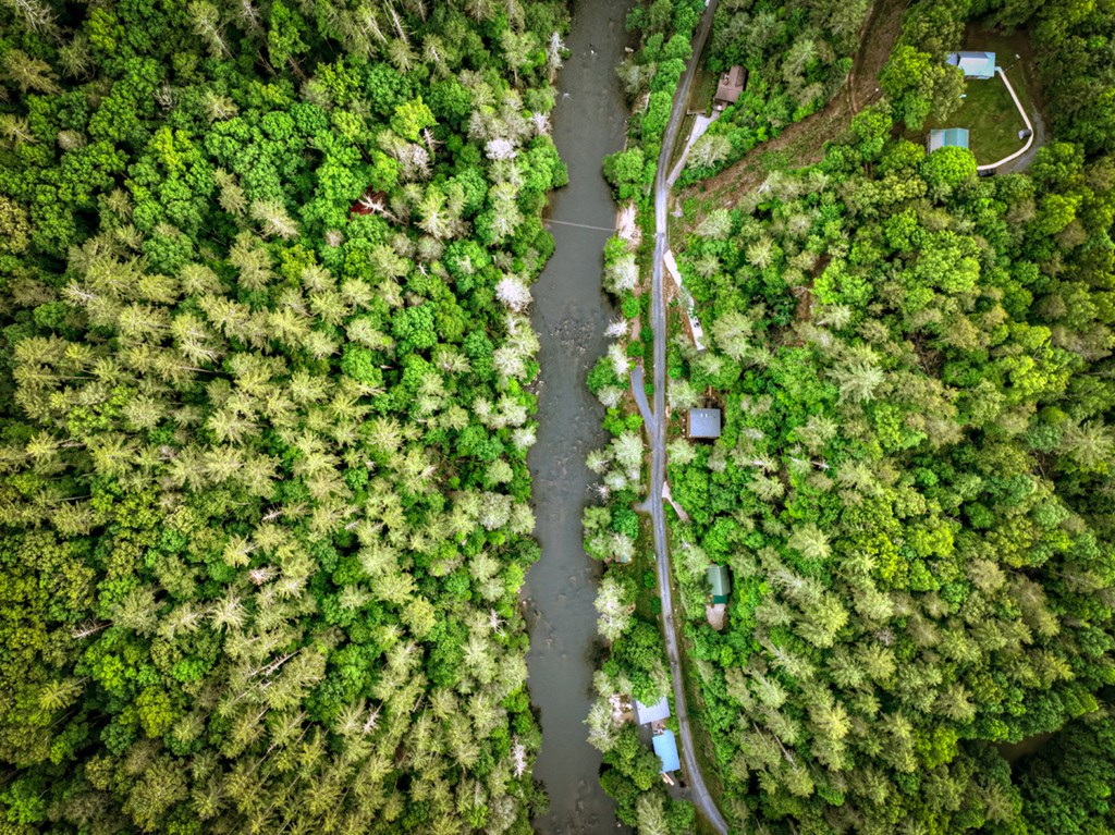 372 Flat Creek River Road