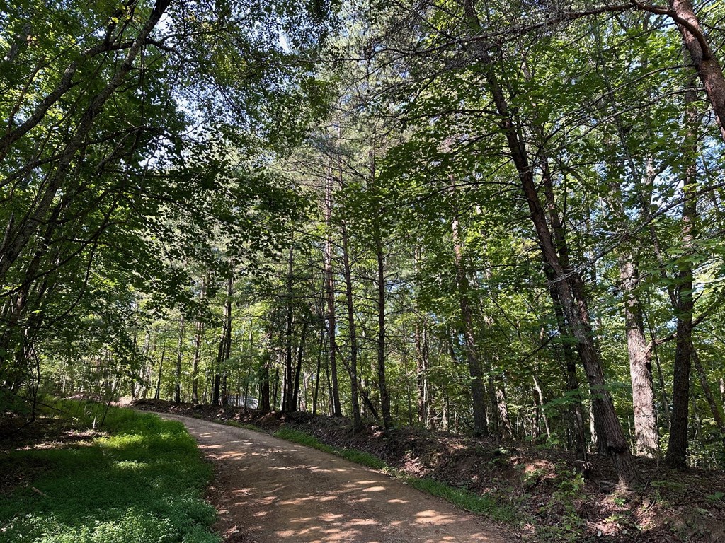 Lot 5 Bear Mountain Pass