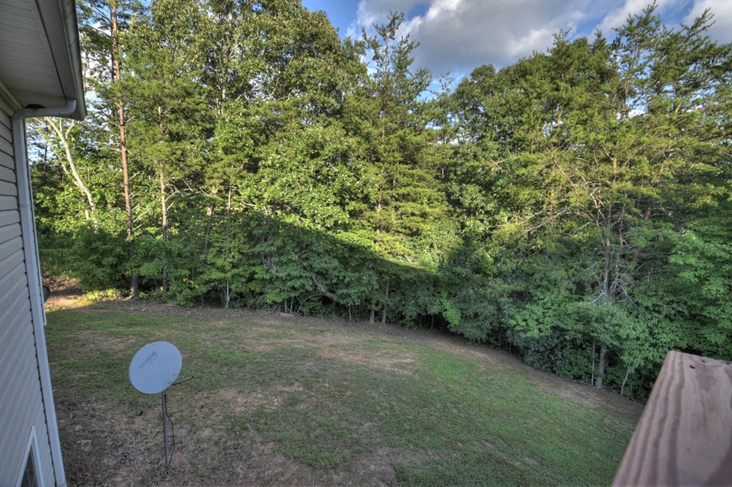 338 Johnson Cove Road