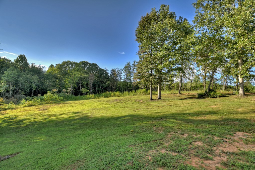 338 Johnson Cove Road