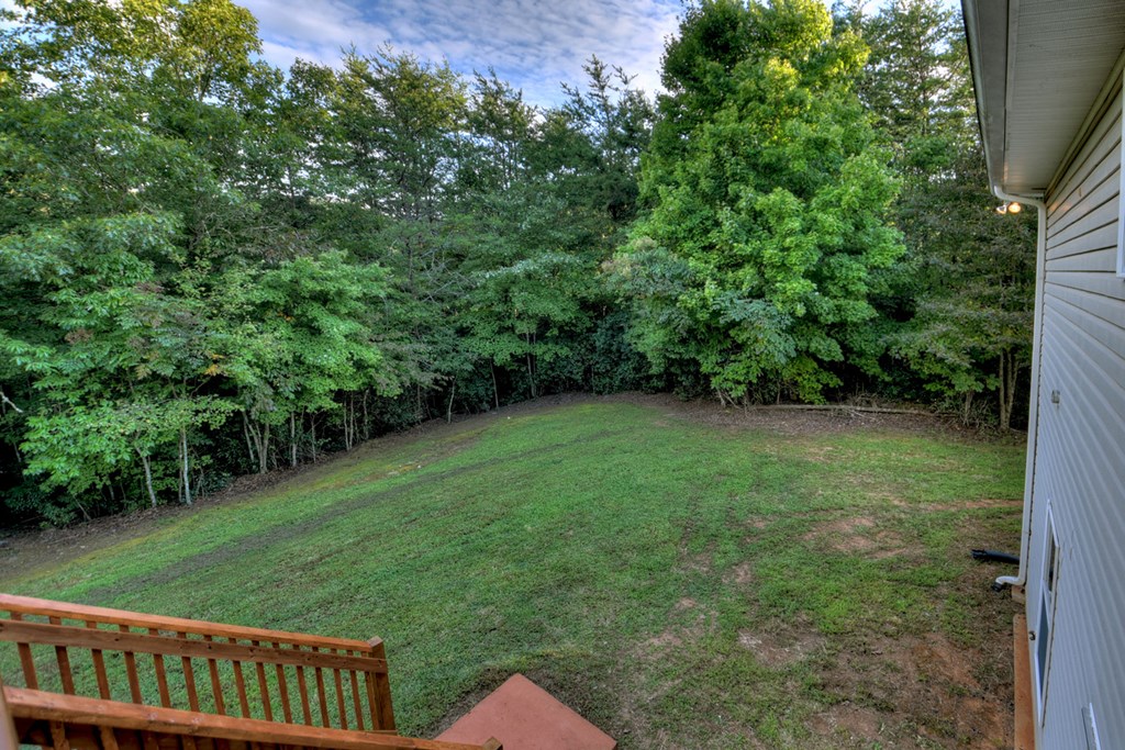 338 Johnson Cove Road