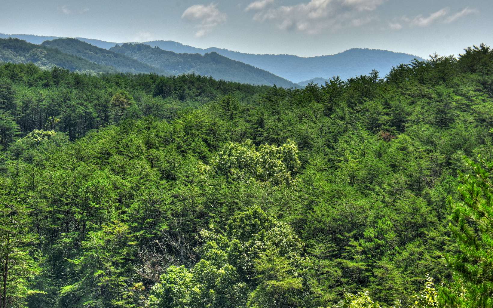 125 Golden Eagle Circle