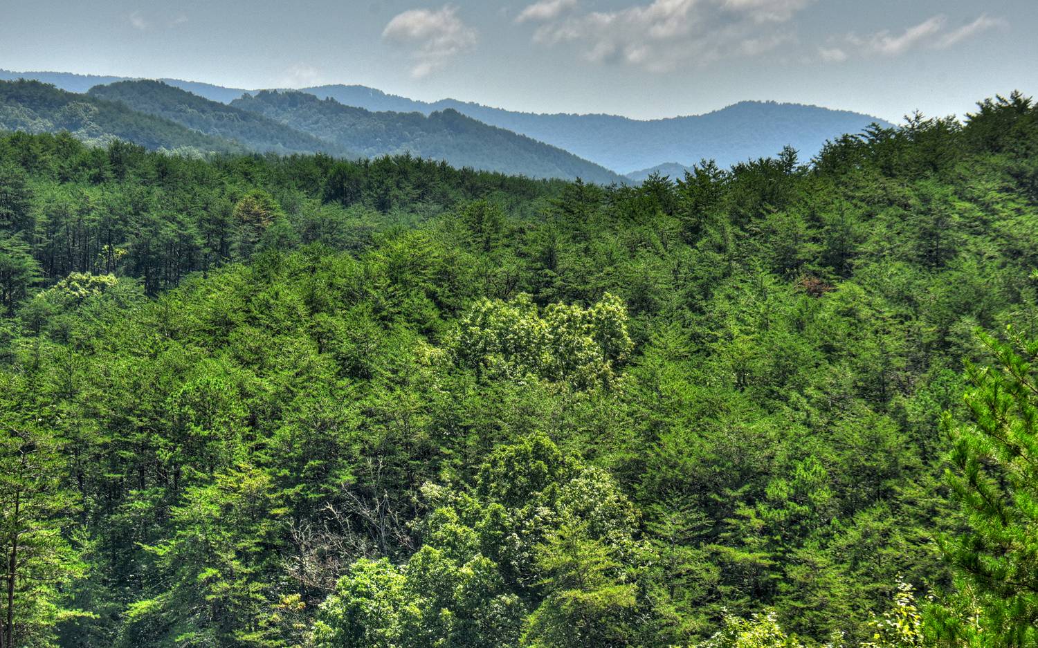 125 Golden Eagle Circle