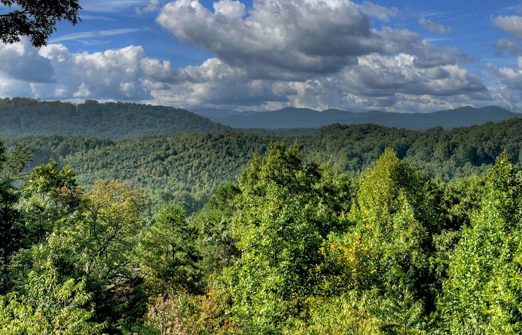 617 Country Mountain Ridge Drive