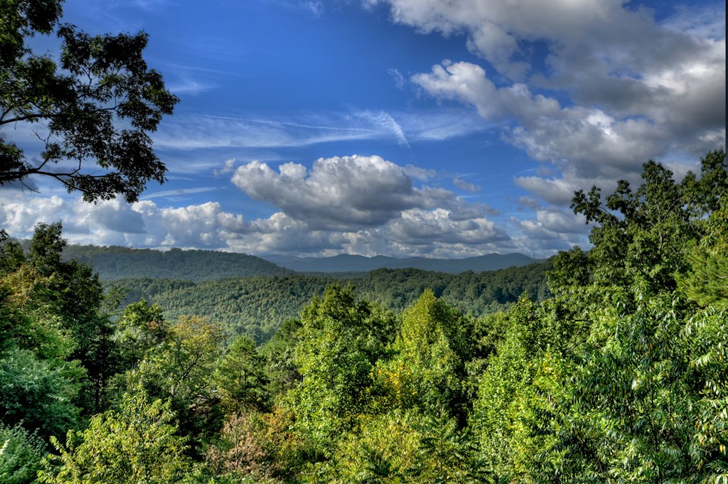 617 Country Mountain Ridge Drive