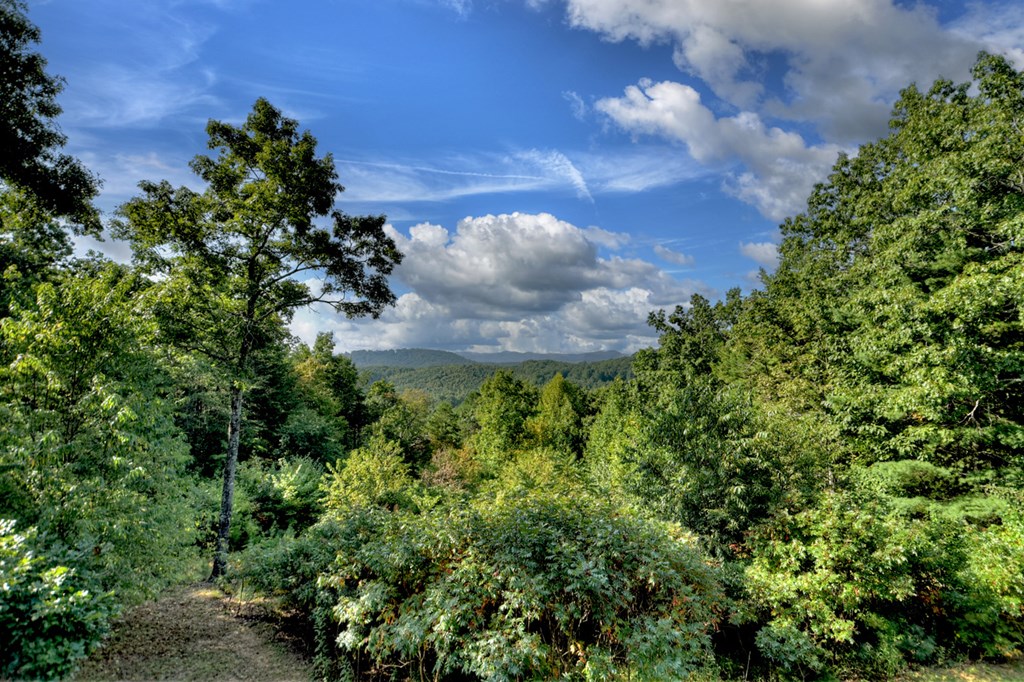 617 Country Mountain Ridge Drive