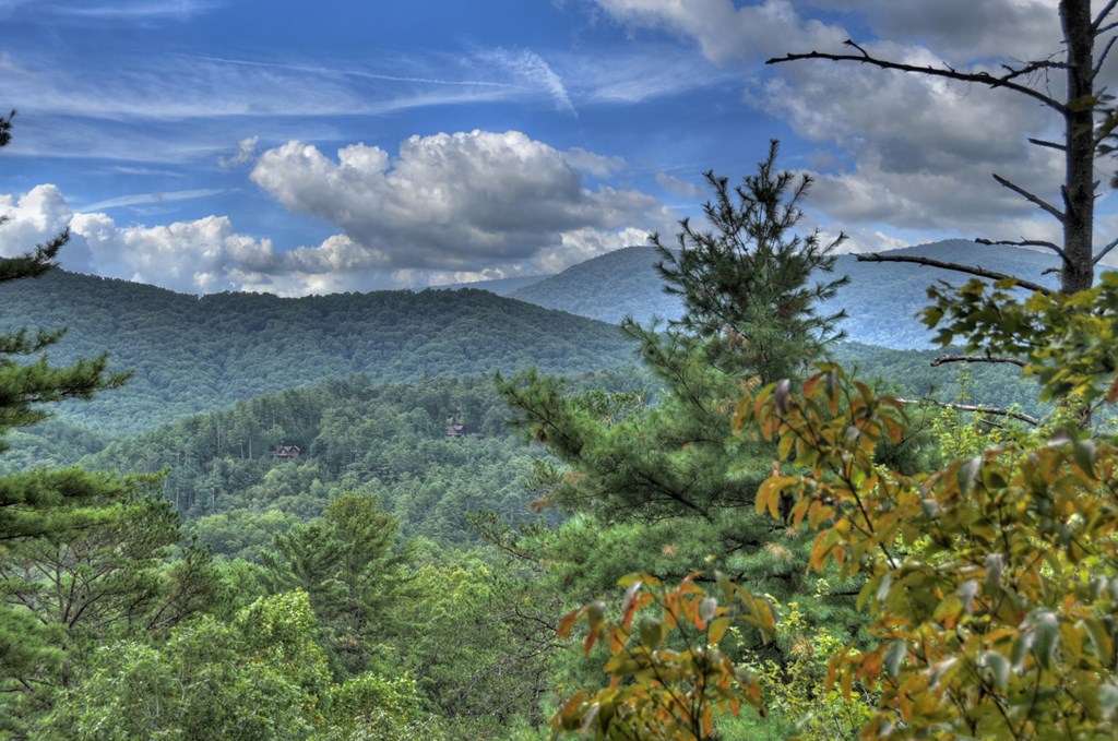 477 Mountain View Circle