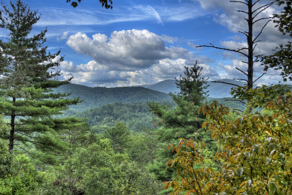 477 Mountain View Circle