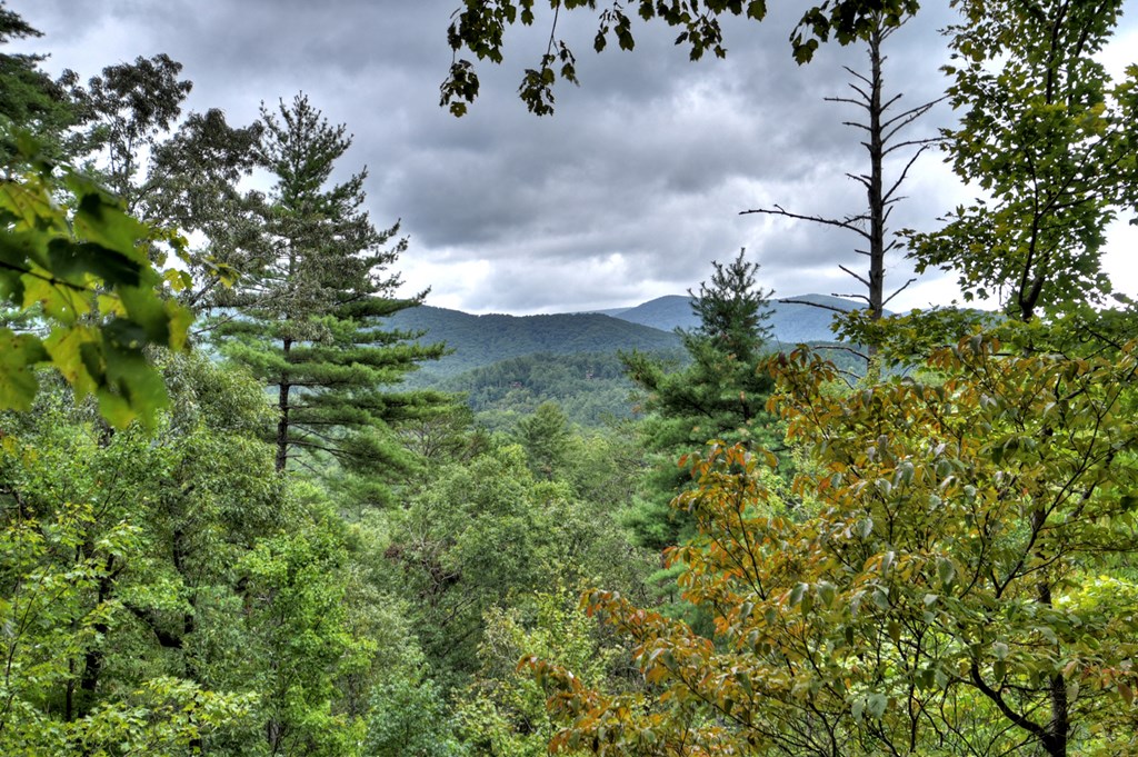 477 Mountain View Circle