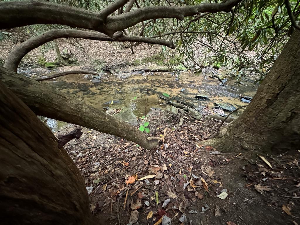 LOT 9 Bitter Creek Lane