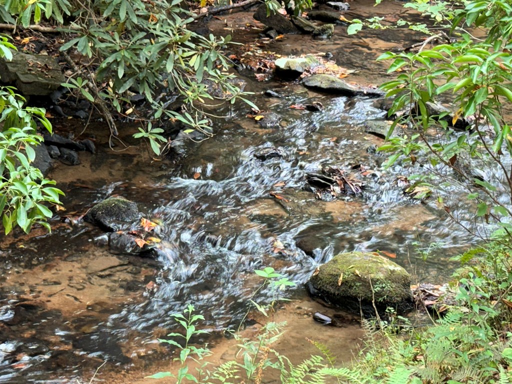 LOT 9 Bitter Creek Lane