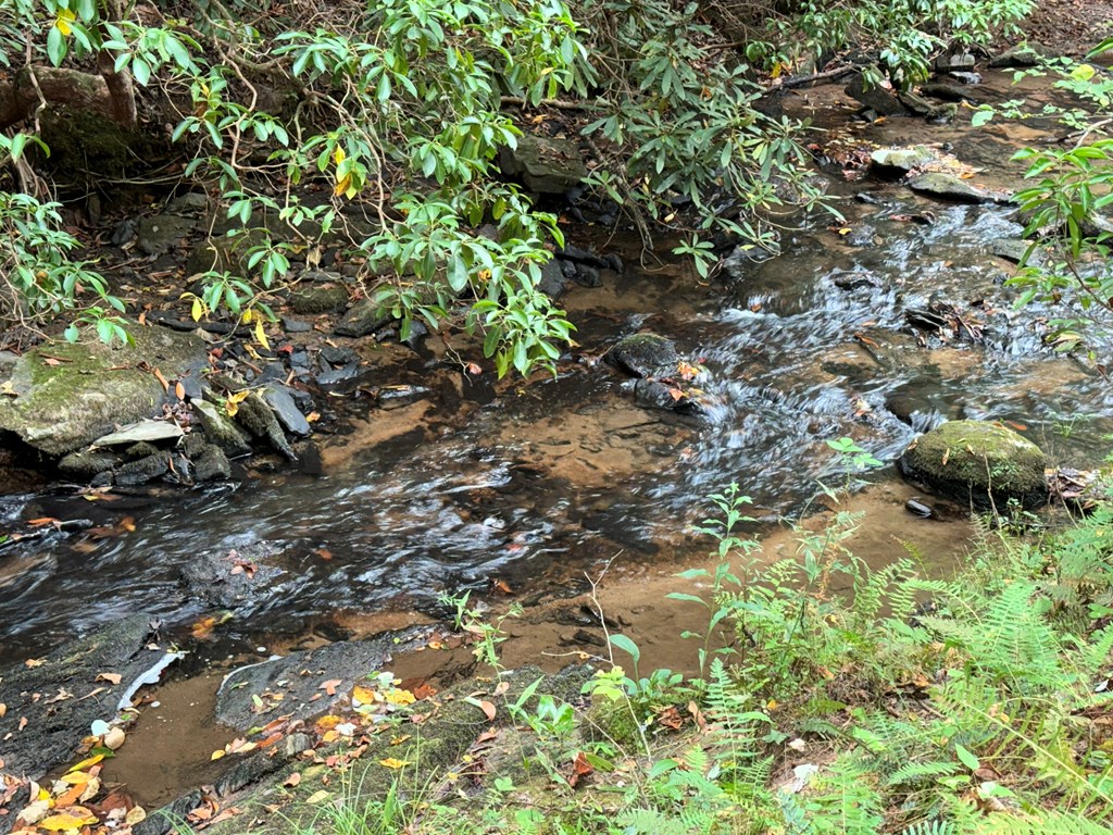 LOT 9 Bitter Creek Lane