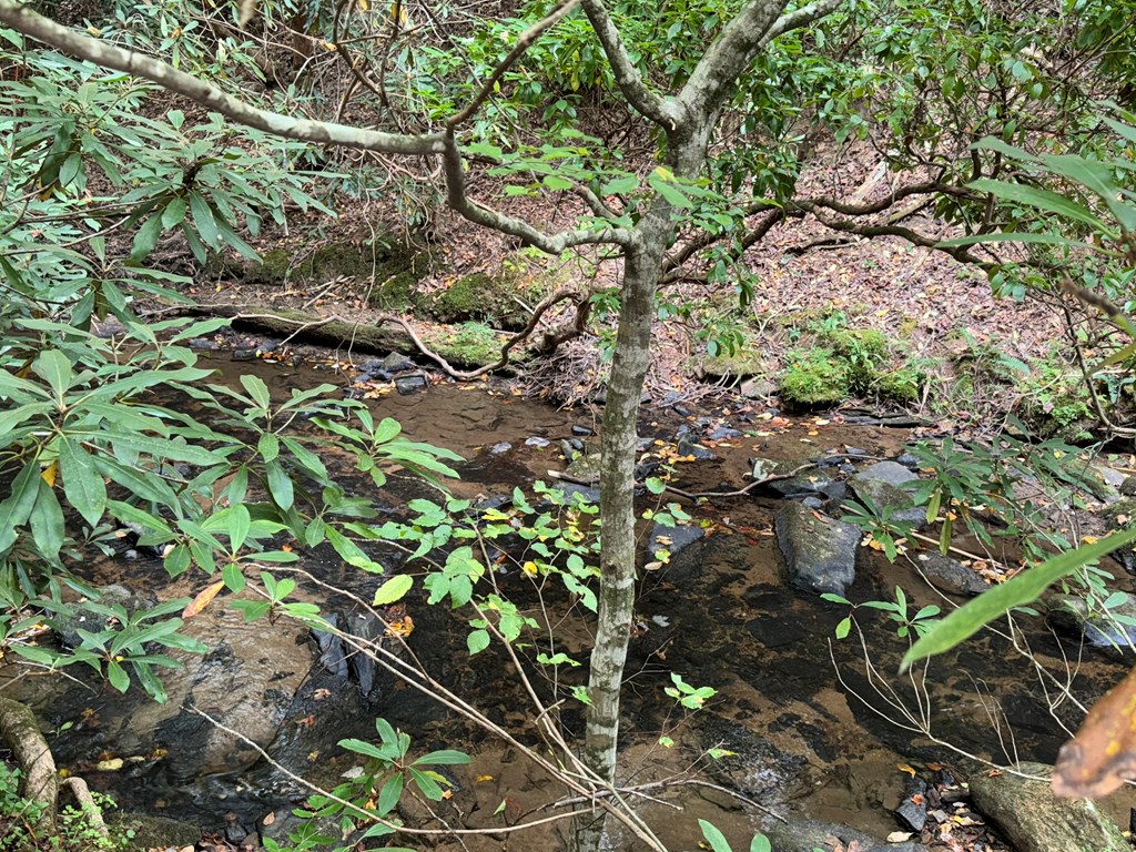 LOT 9 Bitter Creek Lane