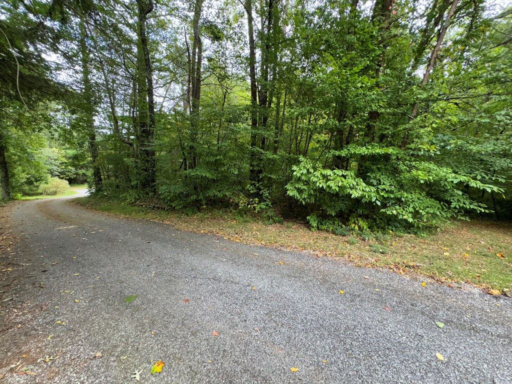 LOT 9 Bitter Creek Lane