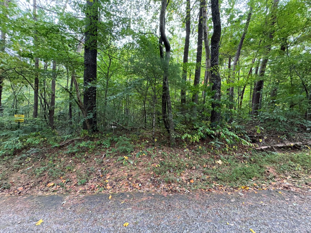 LOT 9 Bitter Creek Lane