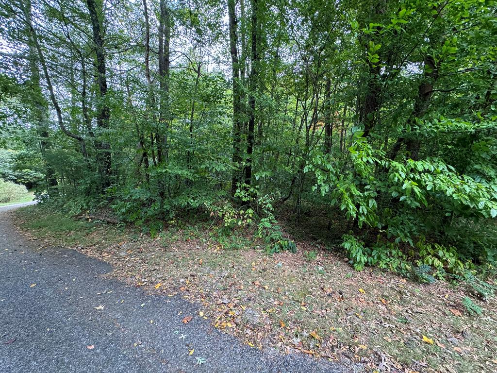 LOT 9 Bitter Creek Lane