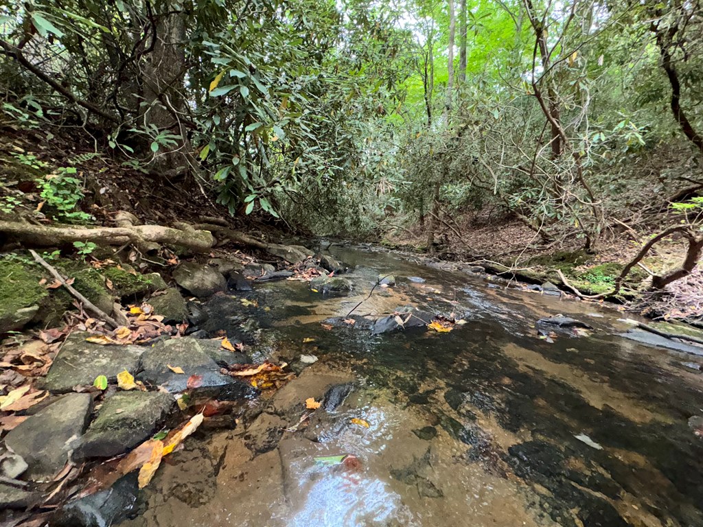 LOT 9 Bitter Creek Lane