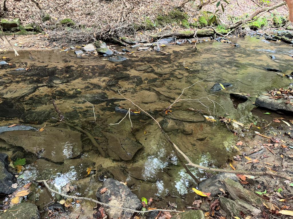 LOT 9 Bitter Creek Lane