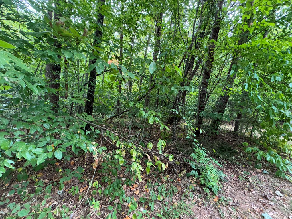 LOT 9 Bitter Creek Lane