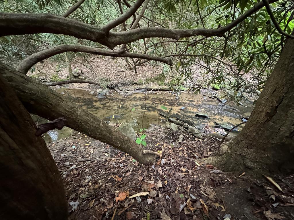 LOT 9 Bitter Creek Lane