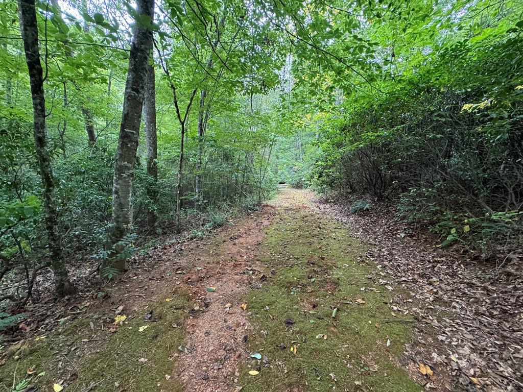 LOT 9 Bitter Creek Lane